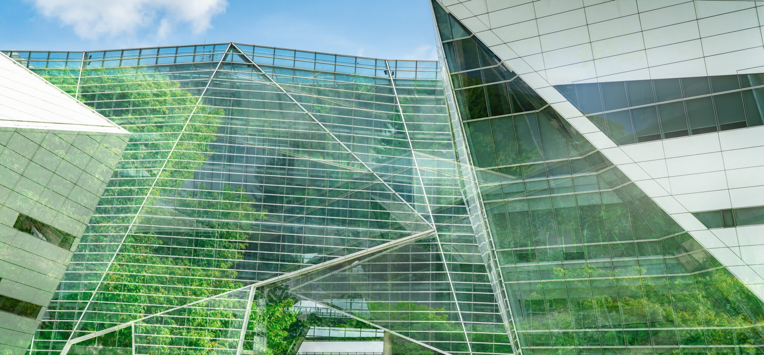 Buildings with greenery growing inside.