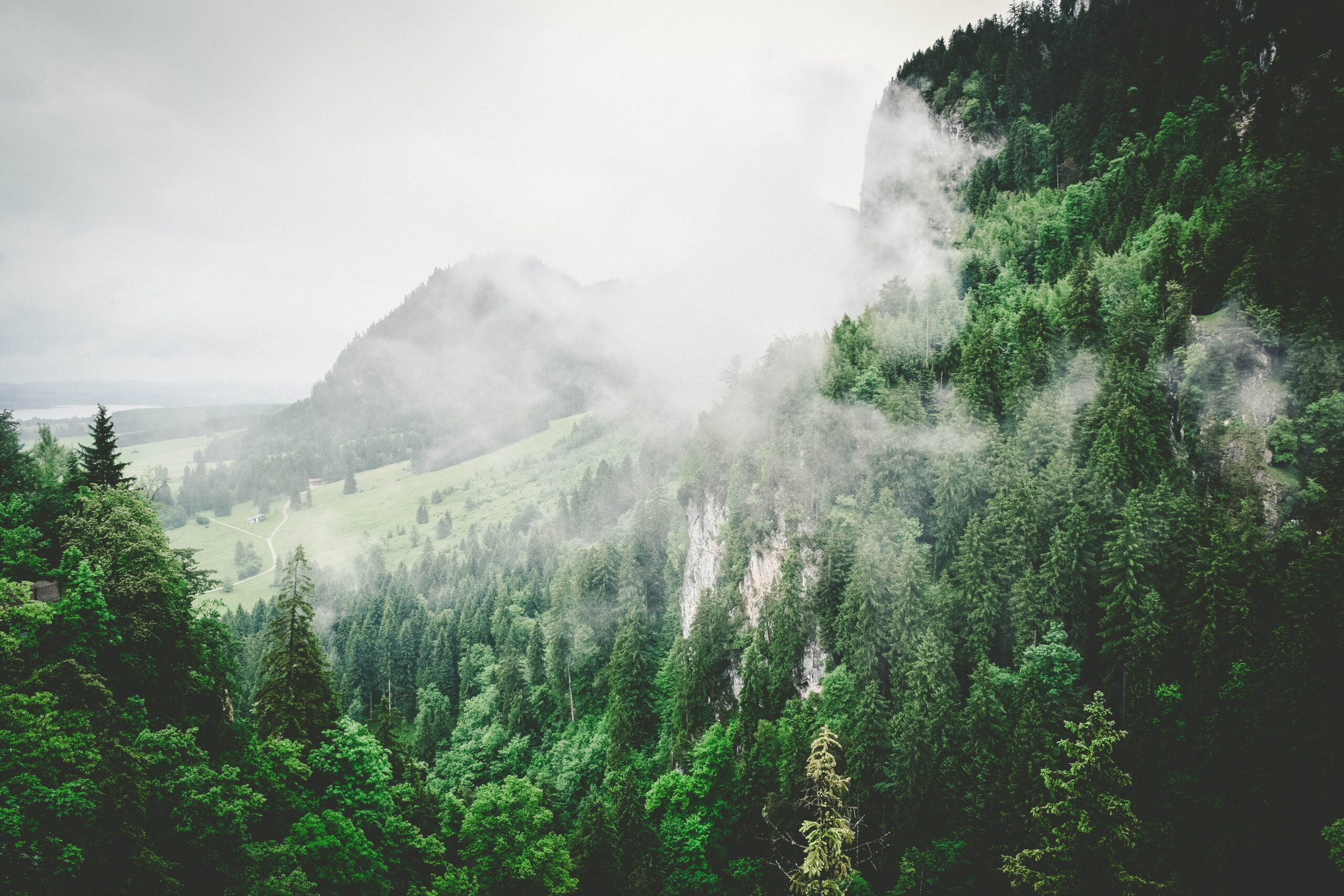 Misty green mountain landscape