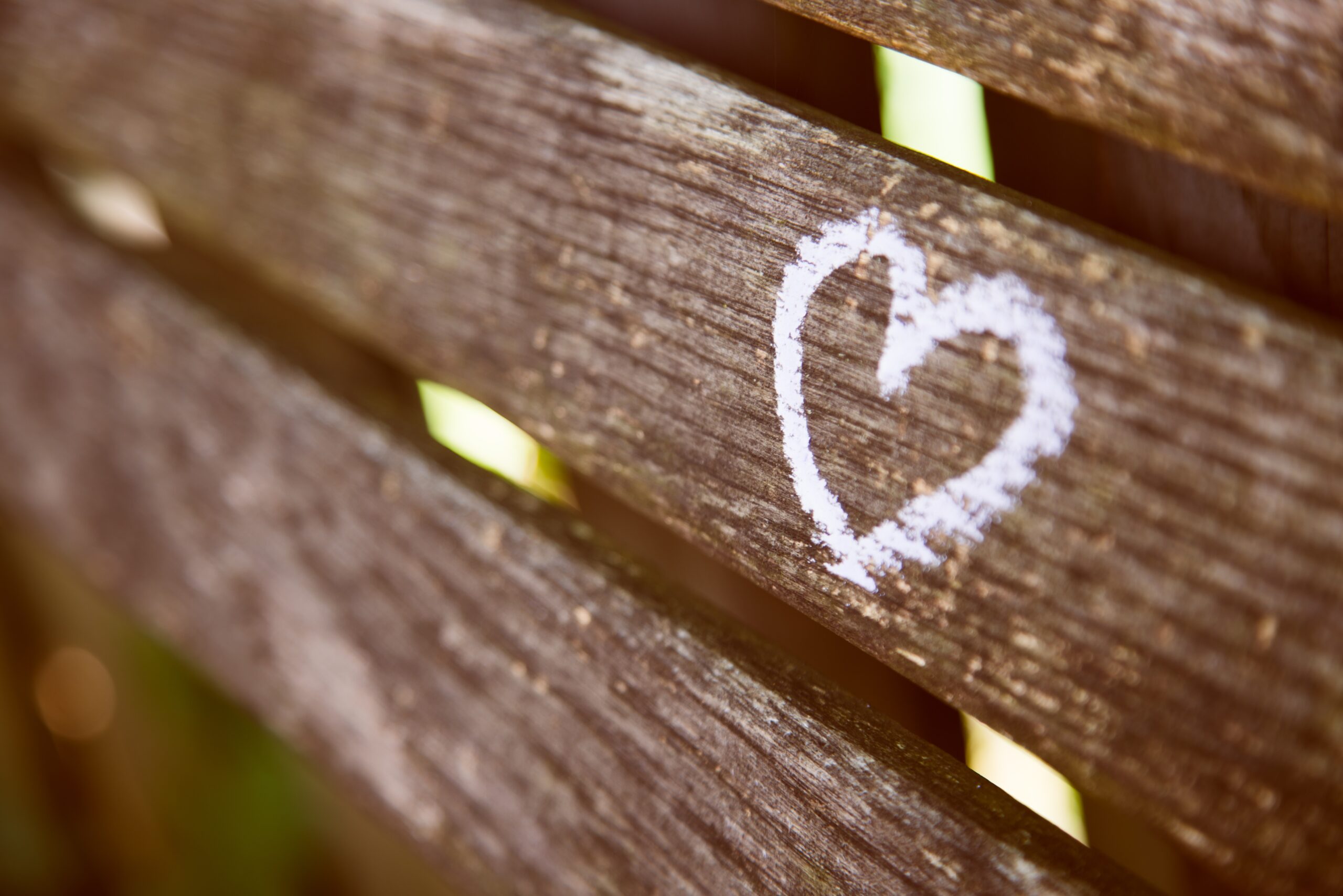 Social impact