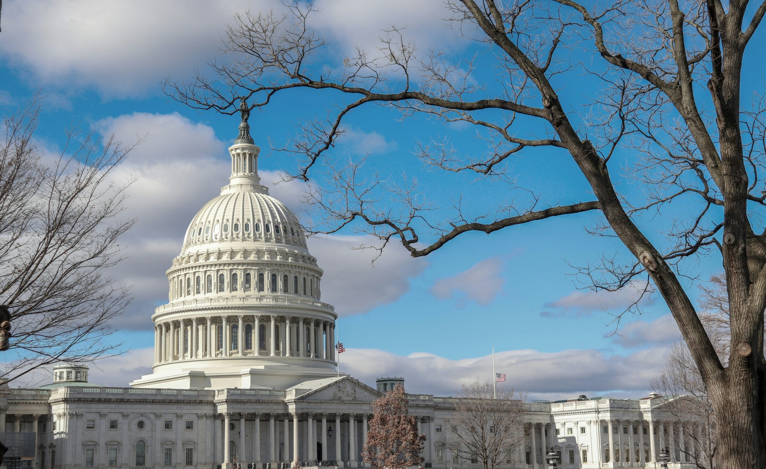 Washington D.C. Capitol Building in winter