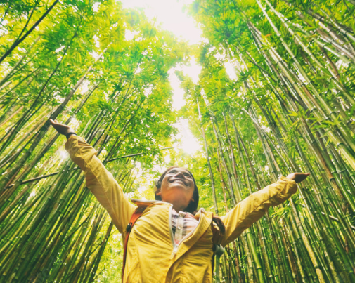 a person wearing a yellow jacket under a bamboo forrest