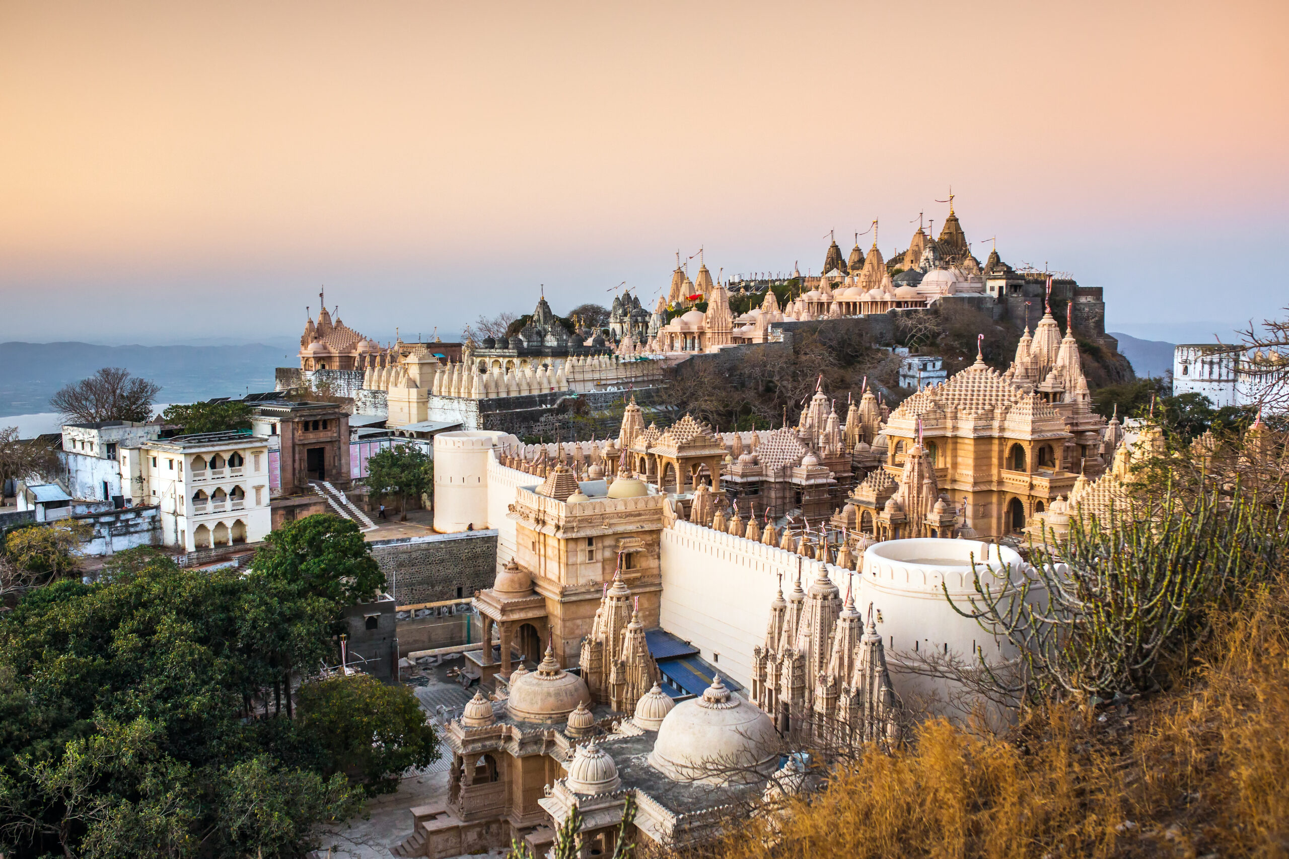 Jain temples on top of Shatrunjaya hill. Palitana (Bhavnagar district), Gujarat, India