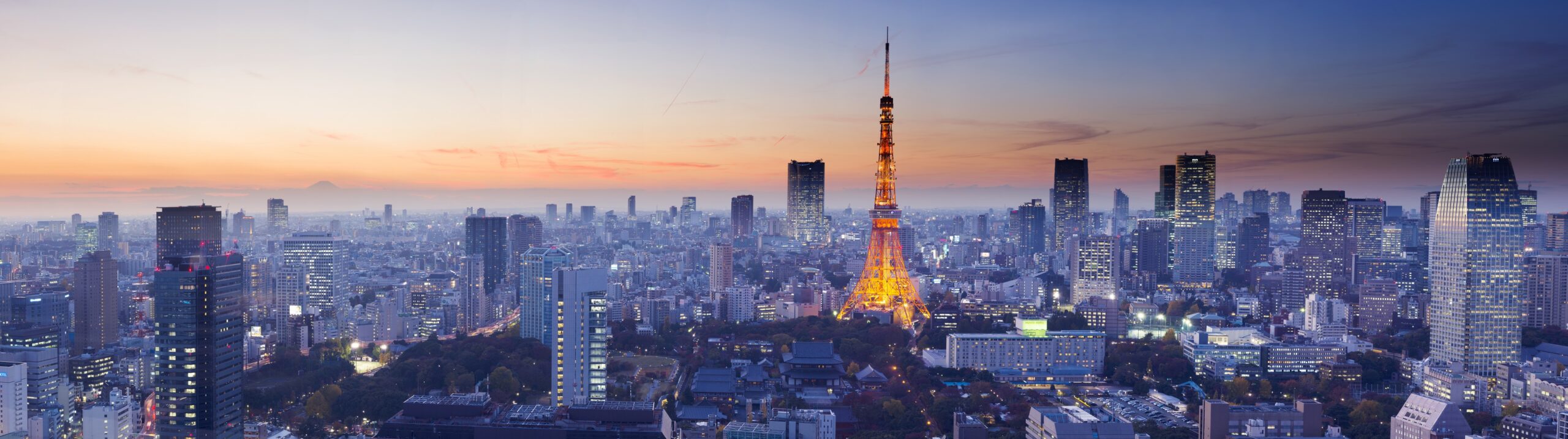 The hazy skyline of Tokyo, Japan.